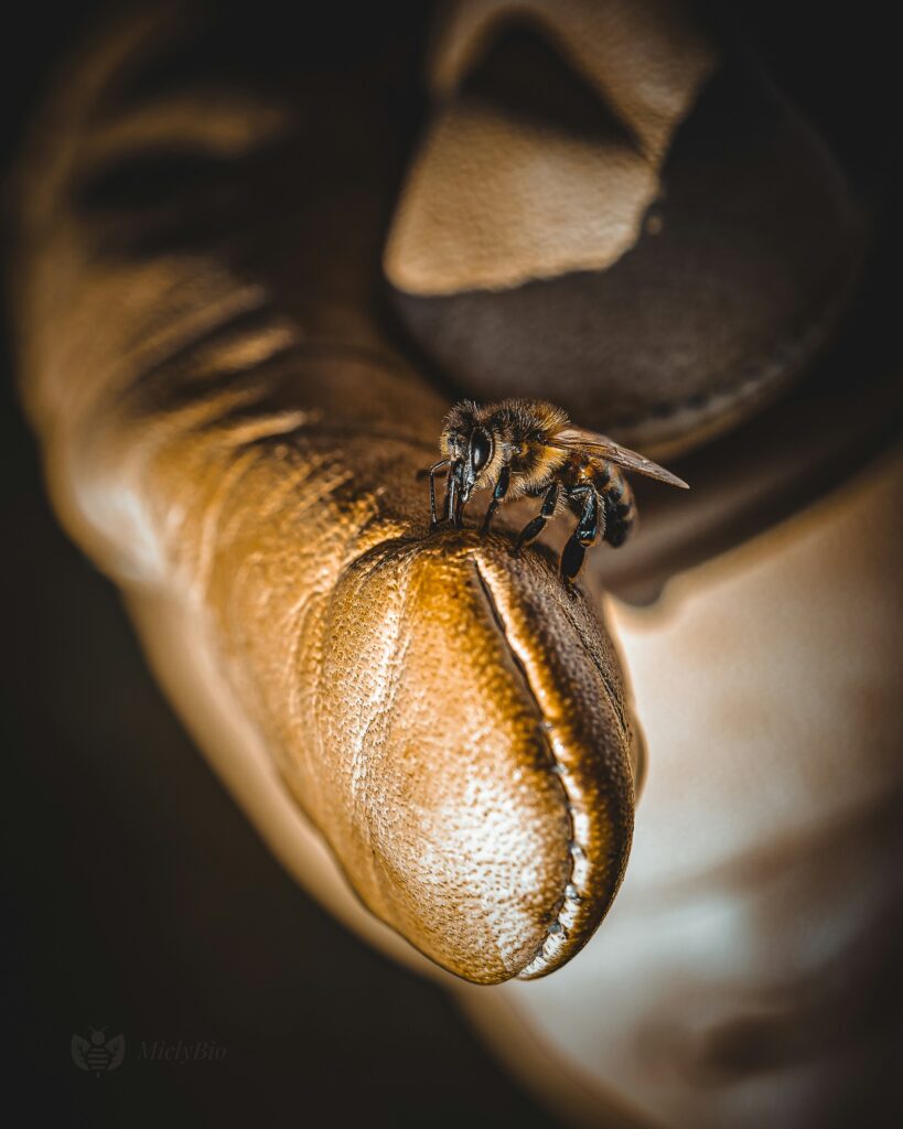 ouki-web-pRCrgC9nwEQ-unsplash