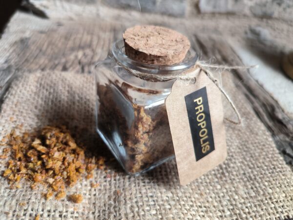 Propolis brut